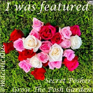 I’m the Cherry Blossom pick today 2/22!